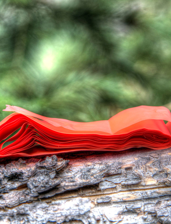 Orange Trail Flagging Tape