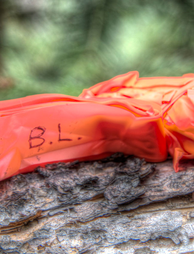 Orange Trail Flagging Tape
